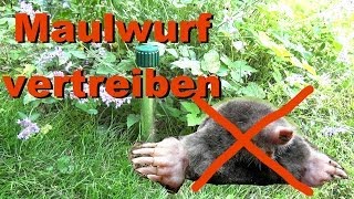 Was hilft gegen Maulwurf und Wühlmäuse? Wühlmausvertreiber im Test