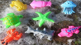 Sea Animal Toys Frozen and Unfrozen (Playtime4Kidz)