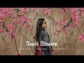 Nkauj Ntxawm - Cheng Xiong (ft. Rose Vang & Touky Xiong) [Official Audio]