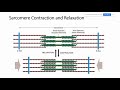 Unit 3 Exam   Overview of Chapter 10