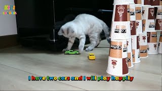 Kiki’s Epic Battle: The Secret to Her Success! 🐾 #Kiki #FunnyCats  #CatGames #KittenBattle