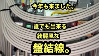 日本の電気工事士がVVFケーブルの盤結線をするのが一年振りくらいでおどろいてみた。