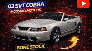 LOW MILE TERMINATOR WALK AROUND @ COSMO MOTORS