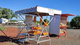 Buying Australian Oranges @Kidman way $3 for 2kilos