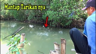 Baru Pertama Saya Mancing Dapet Ikan Ini,,!!Umpan Udang Hidup