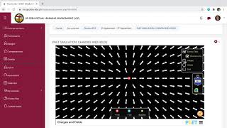 Physics Tutorial Video (PHET Charges and Fields)