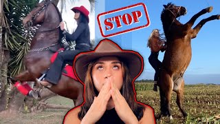 Teaching Horses To Rear Is Dumb... & Dangerous