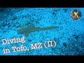 Diving in Tofo, Part II - Mozambique