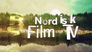 Nordisk Film TV/ShinAwiL/RTE (2017)