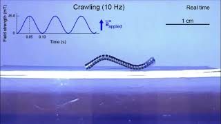 Creating magnetic soft robots using fiber-based processes and unidirectional magnetic fields