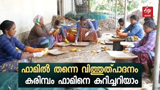 വിളകളില്‍നിന്ന് വിത്ത് വേര്‍തിരിച്ചെടുത്ത് കരിമ്പം ഫാം; തയാറാവുന്നത് കീടപ്രതിരോധശേഷിയുള്ള വിത്തുകള്‍