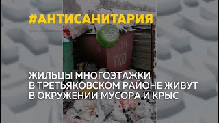 В антисанитарных условиях уже два месяца пребывают жильцы многоэтажки в Третьяковском районе