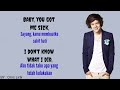 Heart attack - One Direction ( Lirik dan Terjemahan )