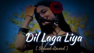 Dil Laga Liya maine tumse peyar karke | 90's Slowed+Revrad Lofi song | Udit Narayan, Alka yagnik |