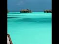 maldives island maldives island tour maldives island status maldives island video tc