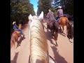 National championship chuckwagon races