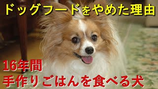 16年間手作りごはんで普通に元気です（現在17歳、ドッグフードをやめた理由）
