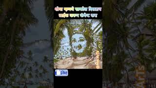 शोधा म्हणजे सापडेल दिसताच लाईक करून कंमेन्ट करा #shortsvideo #shorts #youtubeshorts #viralvideo