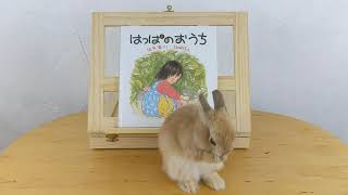 Small House of Leaves | Books with Klunk **Japanese books in English**