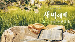 역곡동교회 24.05.05(주일) 새벽예배