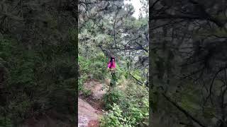 三姐爬山 Three sisters Climbing the Mountain