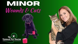 How to Treat Minor Wounds on Dogs & Cats at Home (With Natural Remedies) with Dr. Katie