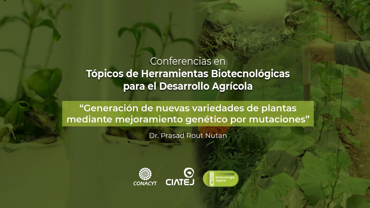 Generación De Nuevas Variedades De Plantas Mediante Mejoramiento ...