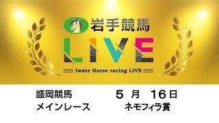 2023年5月16日　岩手競馬LIVE