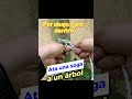 ata una cuerda a un arbol 4 nudos para hacerlo