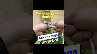 Ata una cuerda a un arbol, 4 nudos para hacerlo