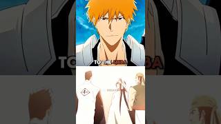 The Shiba Clan Connection: Ichigo's Hidden Family Legacy\