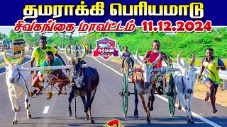 தமராக்கி பெரியமாடு பந்தயம் சிவகங்கை மாவட்டம்