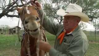 Vaqueros: Pioneering the Texas Ranch