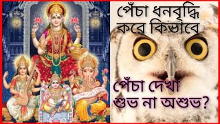 Owl Bird | পেঁচা দেখা শুভ না অশুভ? | Tips For Owl Bird | Remedies Of Prosperity