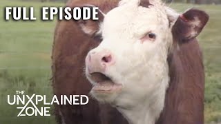 Mysterious Cattle Mutilations Plague Generations (S1, E1) | UFO Files | Full Episode