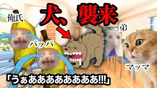 狂犬が我が家にやってきて流血沙汰となりました… #猫ミーム #猫マニ