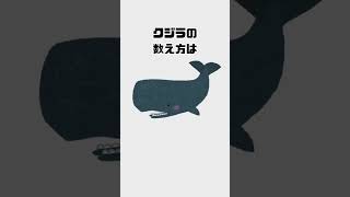 物の数え方の雑学Part８#shorts #雑学 #豆知識 #トリビア