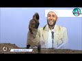 ustaz yasin nuru _አንታ የማን ወዳጅ ነህ new amharic dawa ኡስታዝ ያሲን ኑሩ @darultowhid