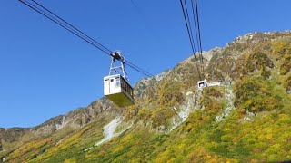 急げ絶景紅葉　立山黒部アルペンルート。ロープウェイからの紅葉は息を飲むほどの絶景。立山室堂平の紅葉は雄山の頂上からも草紅葉を楽しみました。雲一つない青空の下での紅葉に感激しました。