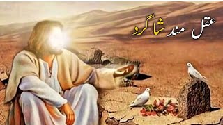 Aqal Mand Shagird ki Kahani | Islamic Stories | Aqal Mand logon ki Nishaniyan | Stories Islamic