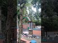 Kebon Raya Gunung Tidar Maqam Syeikh Syubakir#2