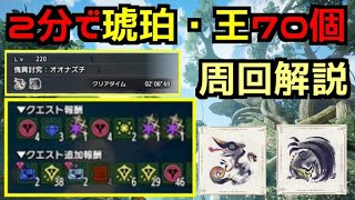 バグレベルの琥珀量！！ナズチゴアマルチ2分台周回解説【MHRS】