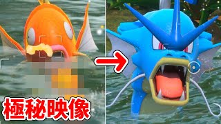 コイキングが進化する瞬間が予想外すぎて笑った。【New ポケモンスナップ】#11(番外) ギャラドス他新ポケ