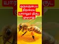 ஒருவருடைய திறமையை யாராலும் திருட முடியாது