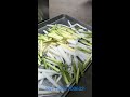 french fries machine cutting machine cutting machine薯条机 切条机 切菜机。进意机械厂