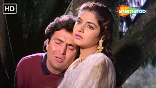 तेरी उम्मीद तेरा इंतजार करते है | Teri Umeed Tera Intezar | Deewana(1992) | Rishi Kumar,Divya Bharti