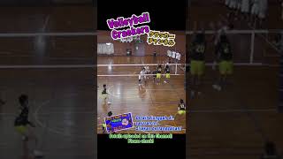 【173cm/最高到達330cm 】Haikyu Mr. Cracker's Volleyball #Shorts #バレクラ