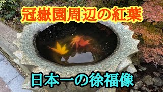 【鹿児島観光】　冠嶽園周辺の紅葉と日本一の徐福像　２０２４年１２月９日