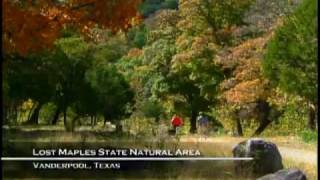 Lost Maples State Natural Area, Texas
