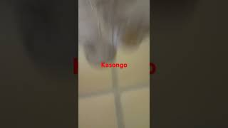 Kasongo Mimi #trending